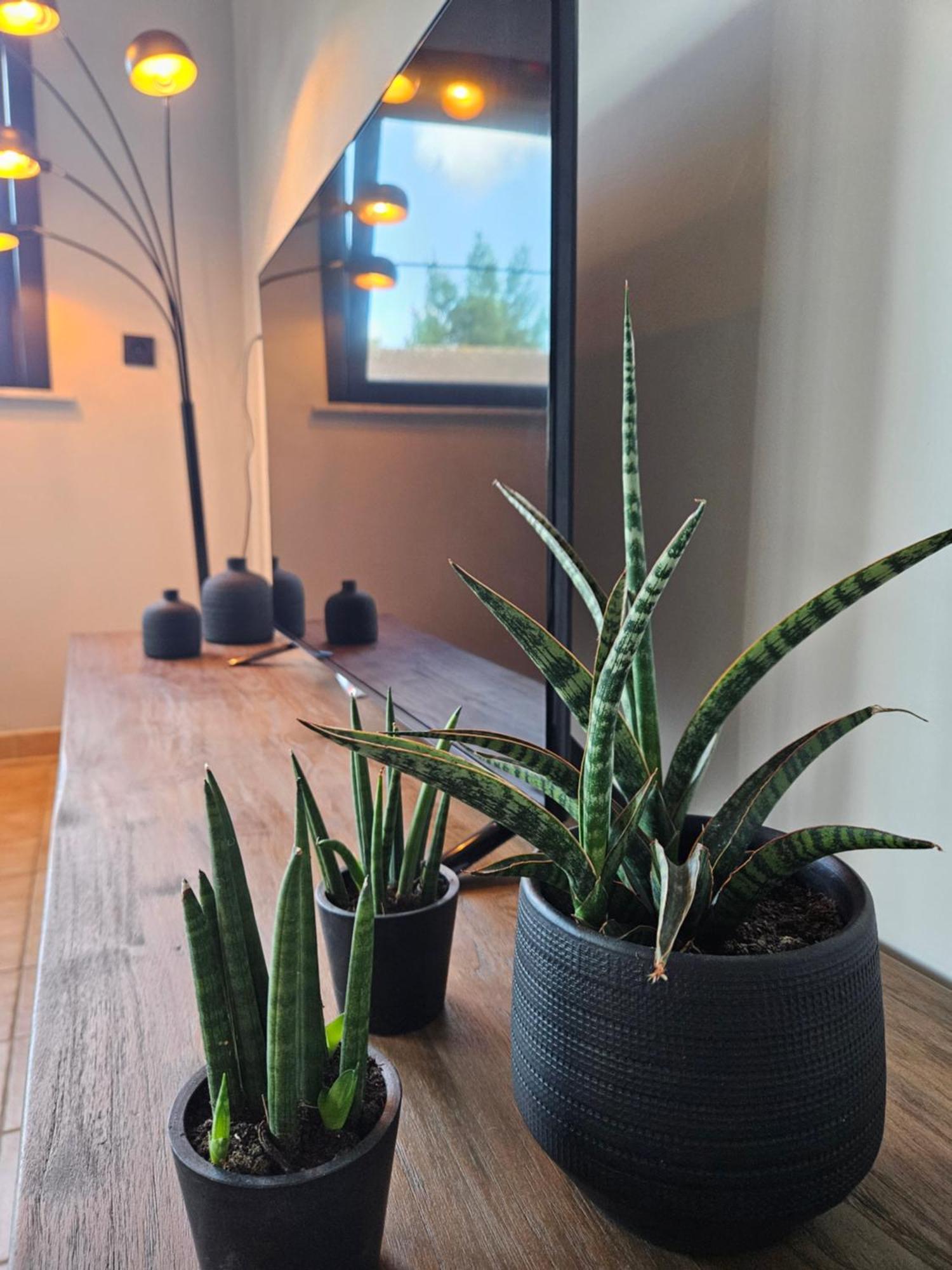 Vakantiewoning Maison Mathiz Middelkerke Bagian luar foto